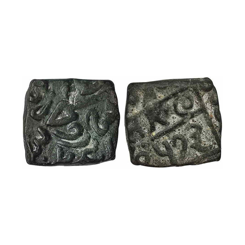 Ranas of Mewar, Sisodiya dynasty, Rana Sangrama Simha or Rana Sanga (c. AD 1509-1527), Cop