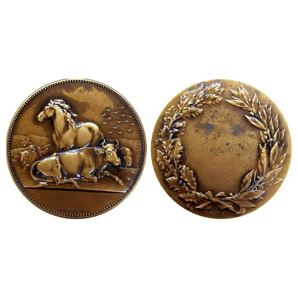 British India, Cattle Exhibition Medal. Bronze, Obv: Cattle and Horse . Rev: Wreath and sp