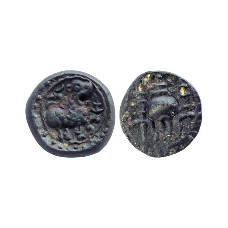 Vishnukundin, 7th century AD, Copper, 6.91 g, Lion type, a Shankha representing Lord Vishn