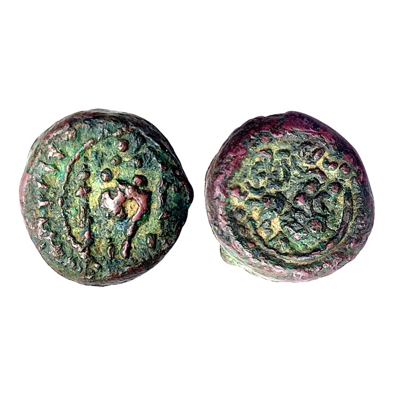 Vishnukundin, 6th century AD, Copper, 4.01 g, Lion type, a Shankha representing Lord Vishn