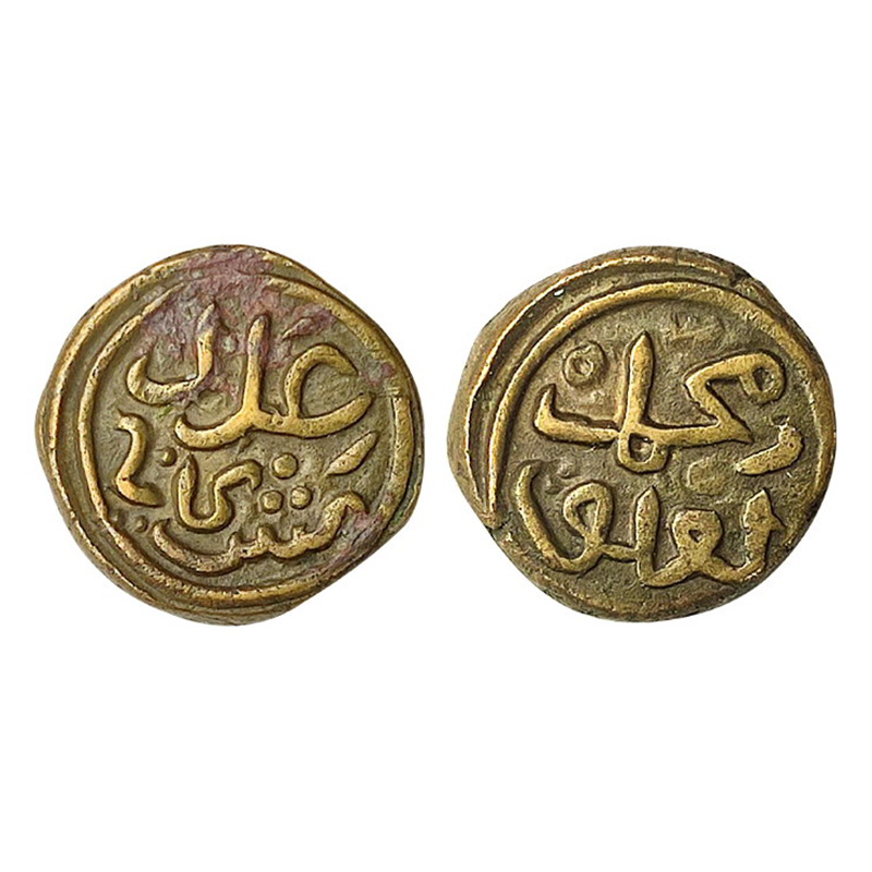 Delhi Sultanate, Muhammad III bin Tughlaq, Copper, 3.4 g, 8 Gani, Muhammad Tughlaq on obv,