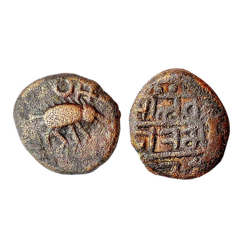 Vijayanagara Empire, Thirumalaraya (AD 1565-1570), Copper, 3.6 g, a Boar walking to right 