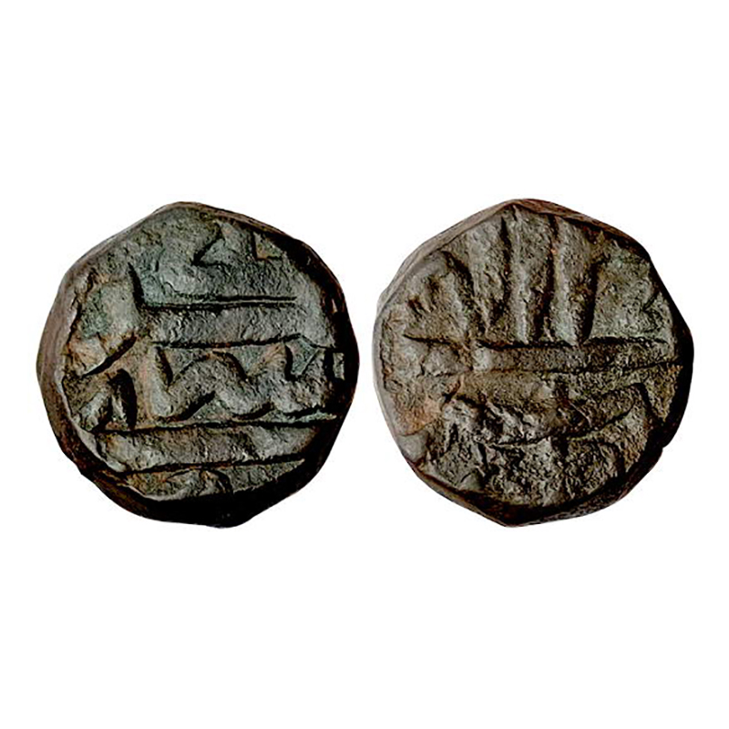 Akbar, Srinagar Mint, Dam, Copper, 20.97 g, Zarb Srinagar on obv; Ilahi 47 at top, Month n